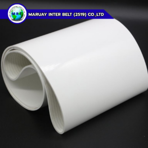 PVC Belt