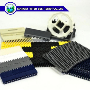 Modular Belt